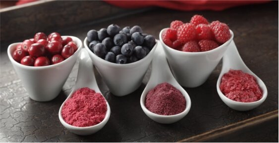 About Us Our Company 02